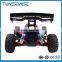 Standard Edition electric 4wd brushless 1/5 scale rc monster truck