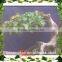 Best price hot sale domestic artificial small bonsai pine tree