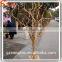Customized Tree Trunk Wedding Tree Pole