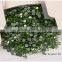 Factory wholesale Top quality in China for nail art rhinestones