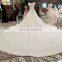 LS00303 Kleinfeld Appliqued Long Dresses Long Train See Through Beaded Bridal Dress for Wedding