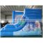 2017 Aier inflatable castle for sale/free cartoon painting inflatable bouncer castle/promote inflatable castle