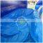 Double Lanes Water Slides/ocean Theme Inflatable Water Slide for Sale