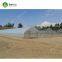 Simple galvanized steel frame single span polyethylene film Greenhouse For Sale