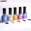 12Ml 16 Colors Holographic Holographic Nail Polish Varnish