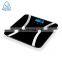 Guangdong Electronic Digital Calorie Counter Fat Weighing Scales In China