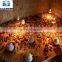 infrared Heat lamp for pig livestock farm animals
