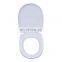 OEM Precision manufacturing mold household products plastic shell production toilet lids  PC plastic folding table