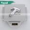Rapsel Cheap Bathroom Portable ABS Bidet Chrome Finish Toliet Shattaf