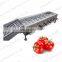 Grading Machine Melon Fruit Sorter Grader Mandarin Orange Apple Sorting Machine