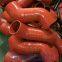 Silicone elbow automobile radiator silicone hose