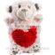 plush bear cover for hot water rubber bottle /Stuffed bear cover for hot water bottle