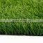 Friendly Environment Tall Ornamental Grasses With Good Density