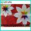2015 New Design, Heat Transfer Film for Plastic, Iml, Big Flower