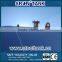 Water Storage Water Tank 10000L Wholesale Price