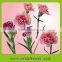 Reliable quality exquisite balloon flower carnation wedding bouquet for bride