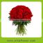 3-heads beautiful red rose panties for home decoration