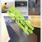 Glue-coating Transparent carpet protective film for autoes