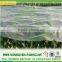 1%-3% Anti-uv pp spunbond nonwvoenweed contro fabric for protection from the sun