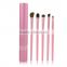 Hot 5 pieces makeup brush for eyeshadow with constellation aluminum case