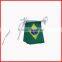 string flag in small size,20*30cm pennnant flag at cheap price,triangular flag