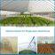 China single span commercial/agriculture plastic greenhouse used sale