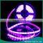 12V 5m Waterproof Cheap LED Strip Light