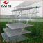 Wire Mesh Commercial Quail Cage Design Hot Sale Trade Assurance