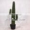 Hot sale potted artificial succulent plant / cactus plants for garden decorations from China supplier