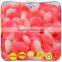 Multi colors children leisure candy sweet yummy gummy