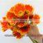 Sold Worldwide High Quality Fresh Cut Orange Gerbera Flower For Decoration