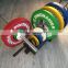Dynomaster Crossfit Equipment/Rubber Bumper Plates with Steel Insert/ Weight lifting Plate