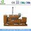 New product 80kw CHP LPG LNG CNG natural gas generator natural genset for sale