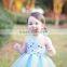 Lovely Latest Style Lace Appliqued latest dress designs for flower teenage girls Layered Flower Girl Dress