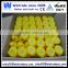 Plastic material yellow weighted pvc duck for river race