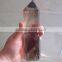 large natural rock smoky quartz crystal point