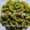 China Natural Snack Dried Green Raisins With Best Quality for Sales
