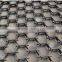 metal tortoise mesh/net,Thermostable hexsteel (factory)