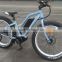 High quality 8FUN mid-motor tailg e bike with samsung cell lithium battery