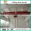 Factory Direct Sales 20T Single Girder Overhead Hoist Crane From China