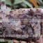 Wholesale Exquisite Quartz Amethyst Crystal Cluster / Amethyst Crystal Cluster