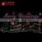 xmas led Happy Holiday Merry Christmas holiday time living decoration motif lights