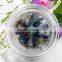 New funny kids gift educational plastic toy magnifying glass
