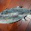 Frozen Black Spanish Mackerel