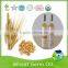 100% pure wheat germ oil triticum vulgare