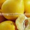 Citrus Honey Pomelo Fruit Fujian Origin