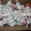 2015 fresh garlic in china market (4pcs small packing)