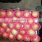 Chinese fresh apple fruit Yantai/high quality with best price