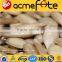 wholesale delicious sunflower seeds kernels