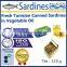 Fresh Tunisian Canned Sardines in Vegetable Oil ,High Quality Tunisian Canned Sardines in Vegetable Oil 125 g